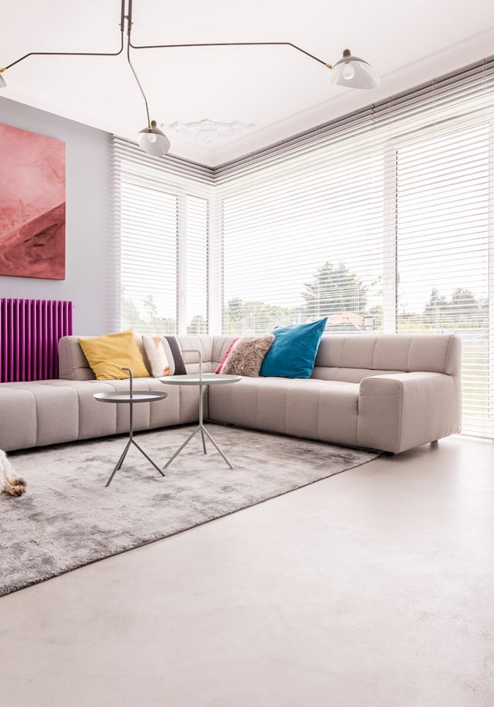 dog-in-a-house-interior-P6D5GAZ.jpg
